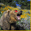 grizzly-bears-free-animated-gameznet 02.gif